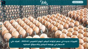 تغييرات جديدة في سعر كرتونة البيض اليوم الخميس 7-8-2025.. تعرف على الأسعار في بورصة الدواجن والأسواق المحلية